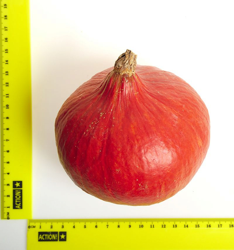 Партнер Тыква УЧИКИ КУРИ ^(10шт), изображение 4