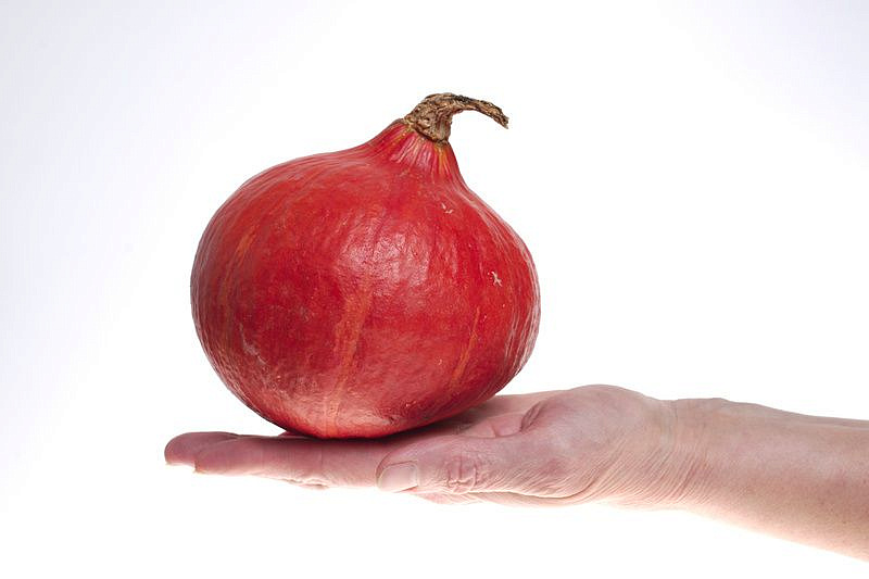 Партнер Тыква УЧИКИ КУРИ ^(10шт), изображение 1