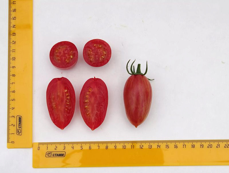 Партнер Томат РОЗОВЫЙ КОТЯ F1 ^(10шт) 2-ной пак, изображение 3