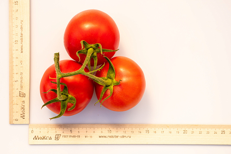 Партнер Томат ЛЕДИ РОУЗ F1 ^(5шт) 2-ной пак, изображение 3