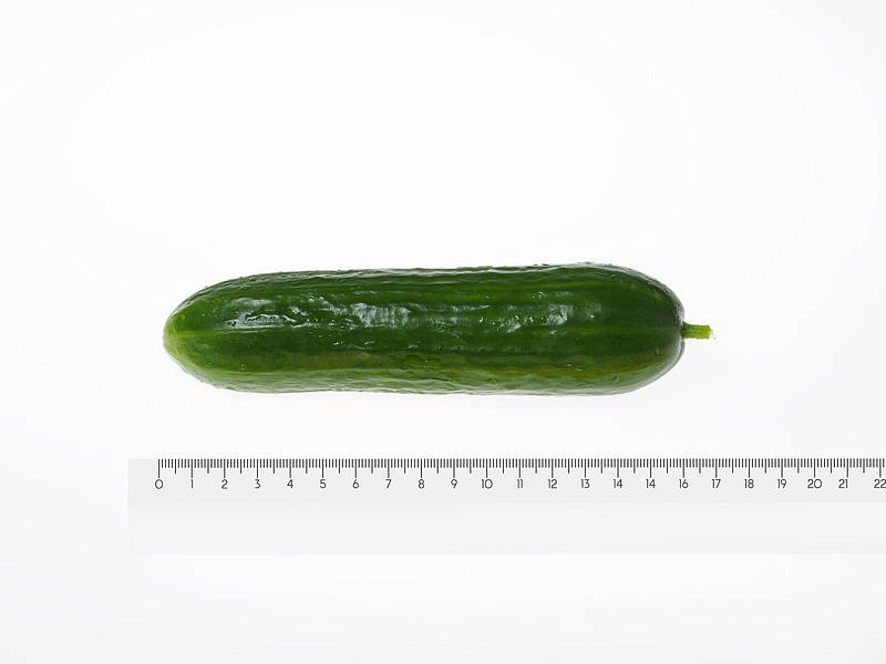 Партнер Огурец МАРИНИН F1 ^(5шт), изображение 6