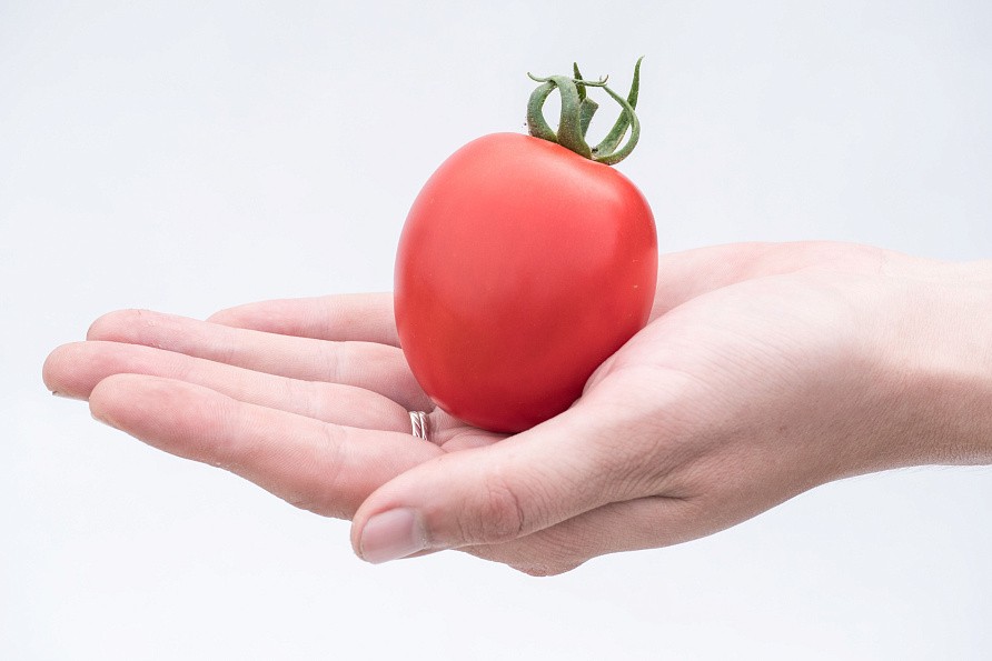 Партнер Томат ПОКРАСНЕВШАЯ НЕВЕСТА F1 ^(10шт) 2-ной пак, изображение 1