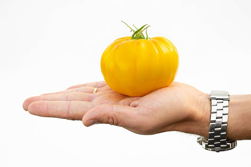 Партнер Томат КРЕМ ТОРТ ^(0,05г) 2-ной пак, изображение 1