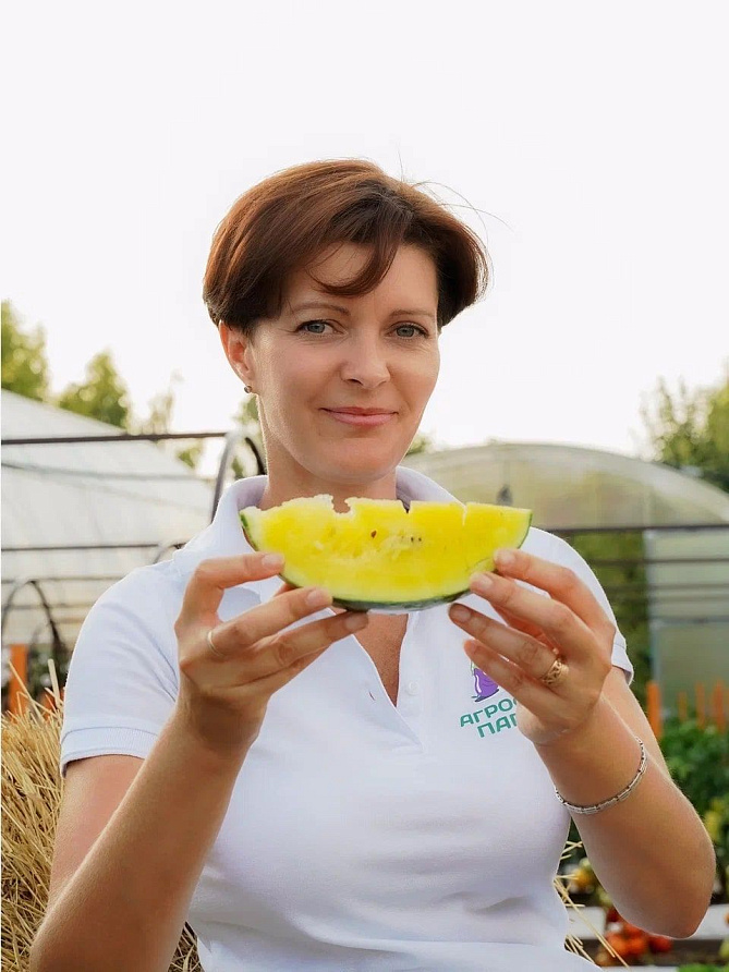 Партнер Арбуз ВЗРЫВ F1 ^(5шт) 2-ной пак, изображение 2