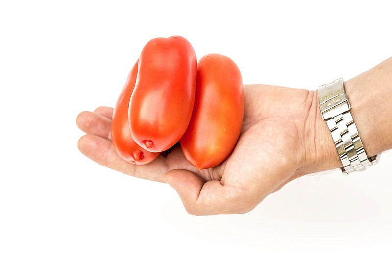 Партнер Томат ЦАРСКОЕ ИСКУШЕНИЕ F1 ^(10шт) 2-ной пак, изображение 2