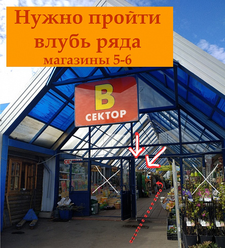 Станция Защиты Растений Брянск Магазин
