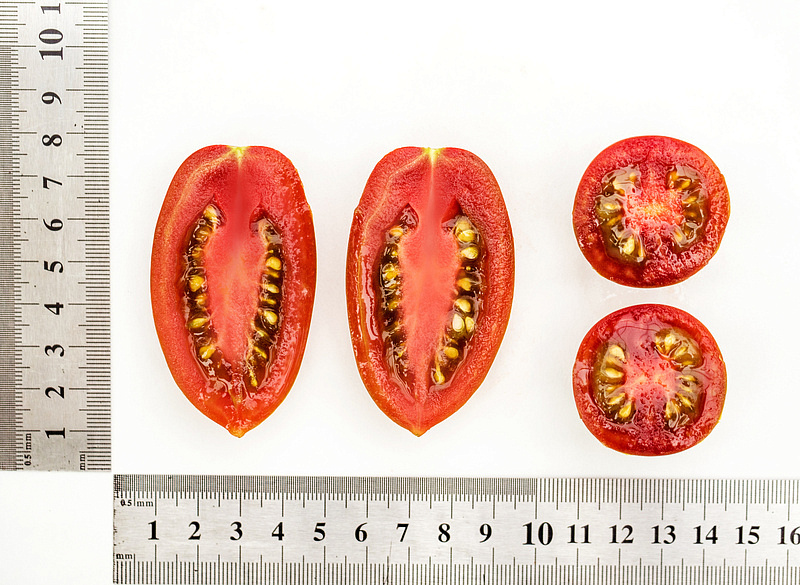 Партнер Томат ДЮКРЕ F1 ^(10шт) 2-ной пак, изображение 4