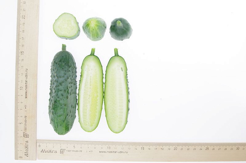 Партнер Огурец СПРИНТ F1 ^(0,5г), изображение 2