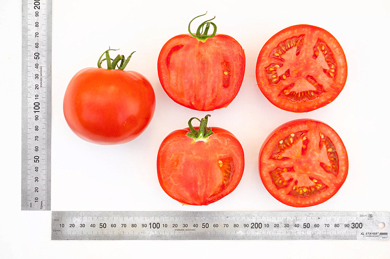 Партнер Томат КРАСНЫЙ ФАКЕЛ F1 ^(5шт) 2-ной пак, изображение 3