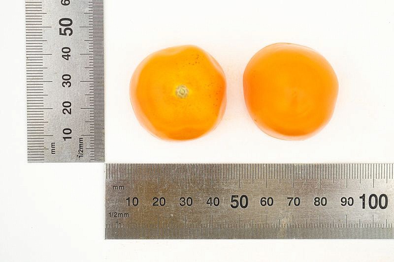 Партнер Томат ВЕРСАЛЬ F1 ^(10шт) 2-ной пак, изображение 3