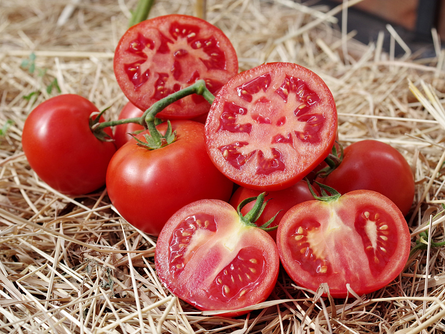 Партнер Томат ДЖАЗ F1 ^(10шт) 2-ной пак, изображение 3