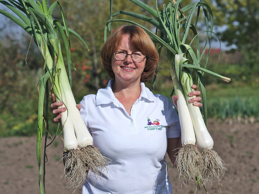 Партнер Лук порей ВЕСТА ^(1г), изображение 6