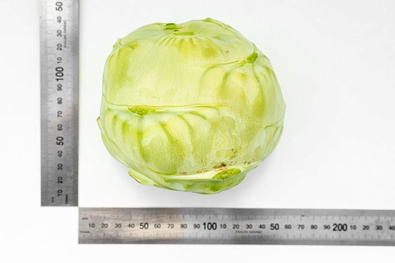 Партнер Капуста кольраби КОРИСТ F1 ^(10шт), изображение 5