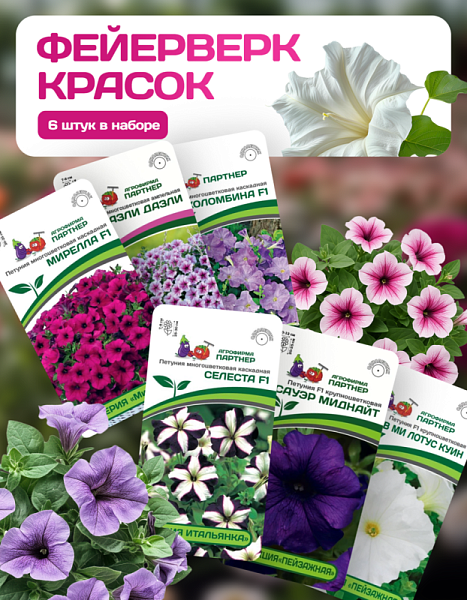Партнер Набор ФЕЙЕРВЕРК КРАСОК^ (1шт)
