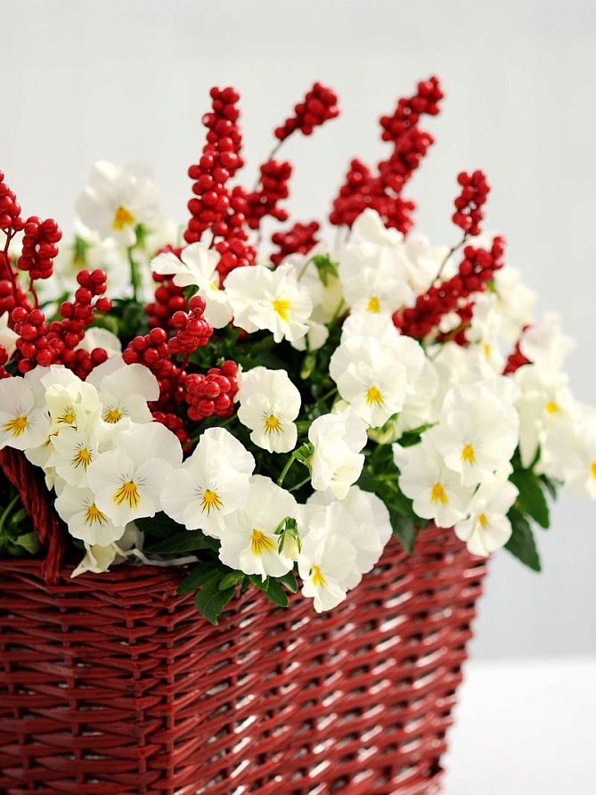 Партнер Виола F1 ампельная КУЛ ВЭЙВ УАЙТ ^(5шт в амп), изображение 2