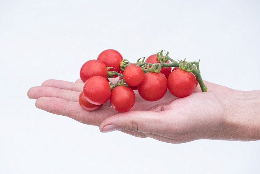 Партнер Томат ЧЕРРИ КАМЕННЫЙ ЦВЕТОК F1 ^(5шт) 2-ной пак, изображение 3