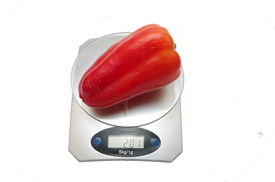 Партнер Перец РЕГОР F1 ^(5шт) 2-ной пак, изображение 7