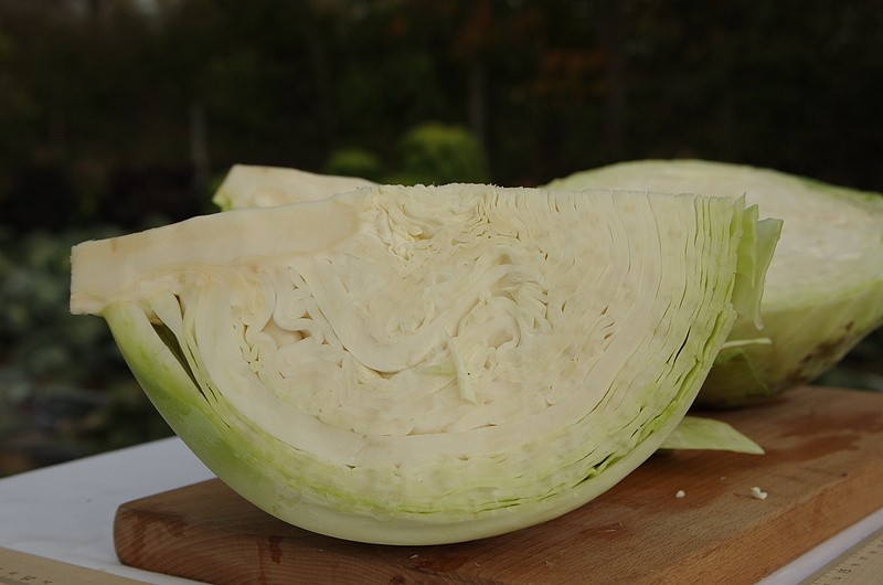 Партнер Капуста б/к ДУБЛЕР F1 ^(0,2г в амп), изображение 5