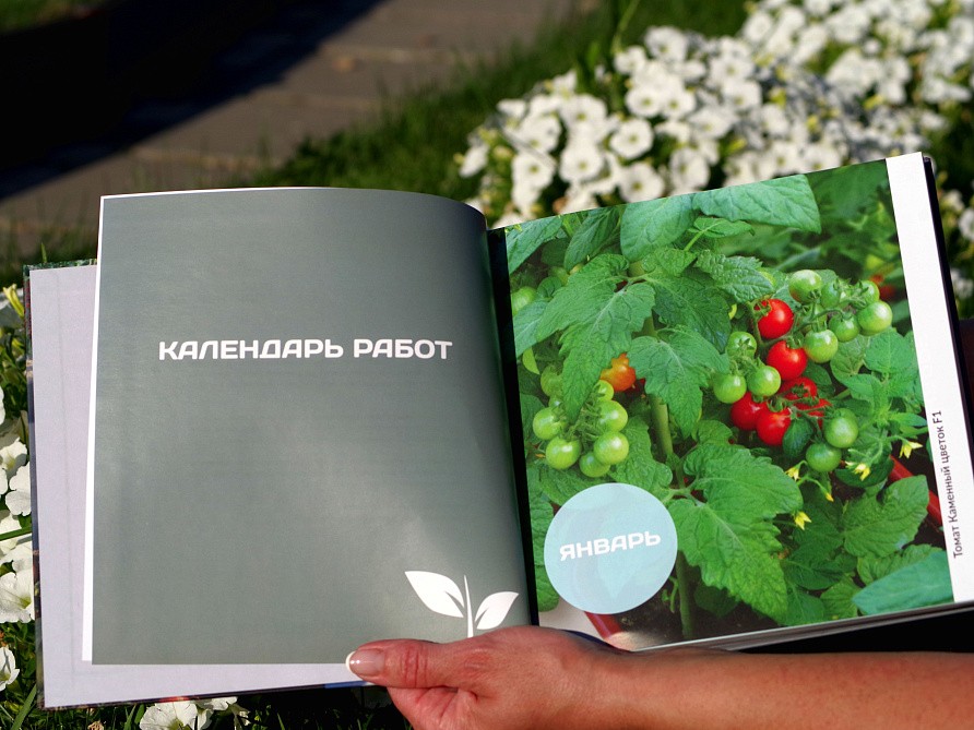 Ежедневник "Ежедневно с Партнером", изображение 6