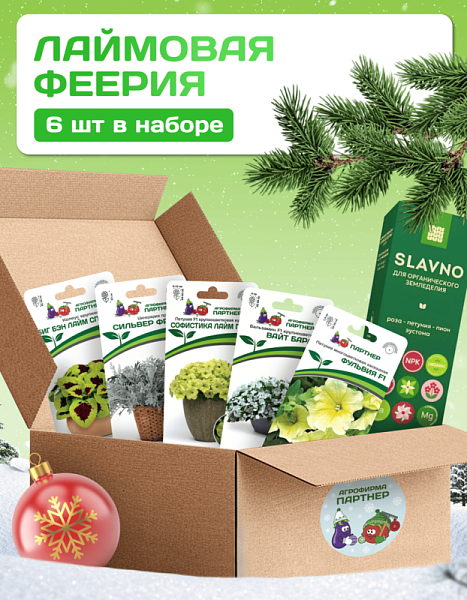 Партнер Набор Новогодний ЛАЙМОВАЯ ФЕЕРИЯ^ (1шт)
