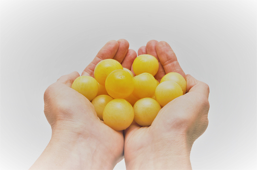 Партнер Томат ДОКТОР КЭРОЛИН ^(10шт) 2-ной пак, изображение 2