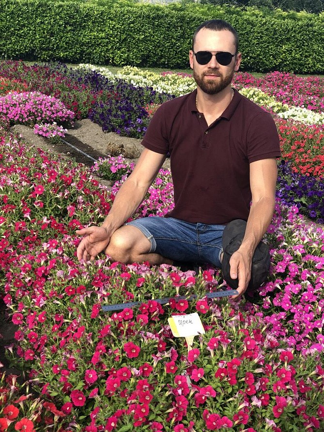 Партнер Петуния серия "Лагуна" ИРЕН F1 / многоцветковая каскадно-ампельная^(5шт в амп), изображение 3