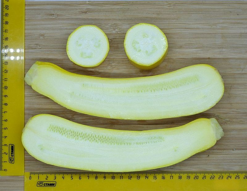 Партнер Кабачок ЖЕЛТОПЛОДНЫЙ ^(10шт), изображение 5