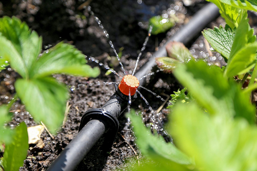 Микродождевой полив кустарников и деревьев Жук 40 растений, изображение 6