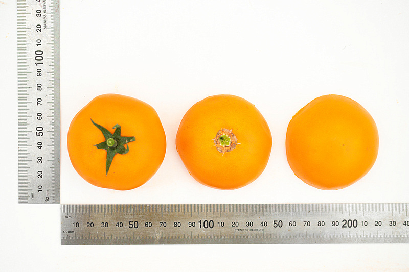 Партнер Томат АНВАР F1 ^(5шт) 2-ной пак, изображение 3