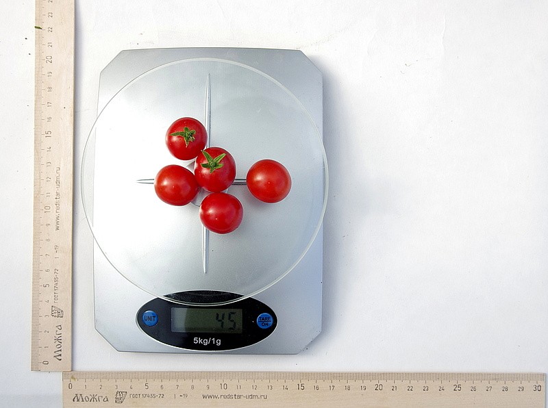 Партнер Томат ЧЕРРИ КАМЕННЫЙ ЦВЕТОК F1 ^(5шт) 2-ной пак, изображение 6