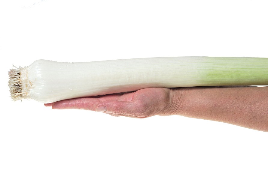 Партнер Лук порей ВЕСТА ^(1г), изображение 3