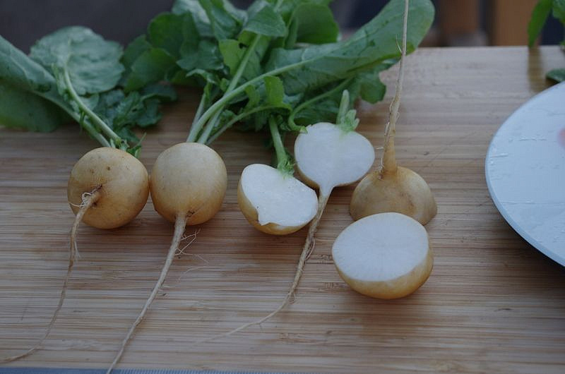 Партнер Редис ЗЛАТА ^(2г), изображение 6