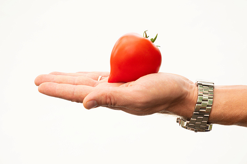 Партнер Томат ПИКАДОР F1 ^(0,05г) 2-ной пак, изображение 4