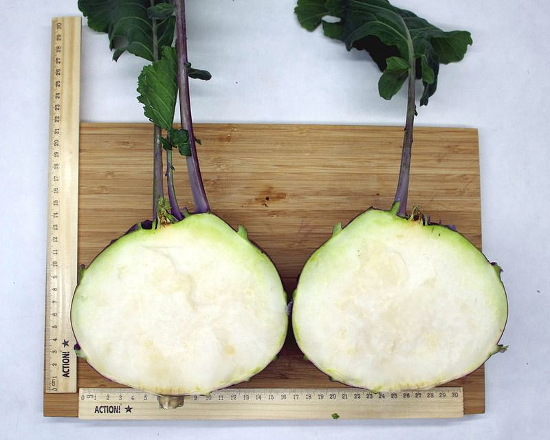 Партнер Капуста кольраби ВИОЛЕТА ^(0,5г), изображение 5