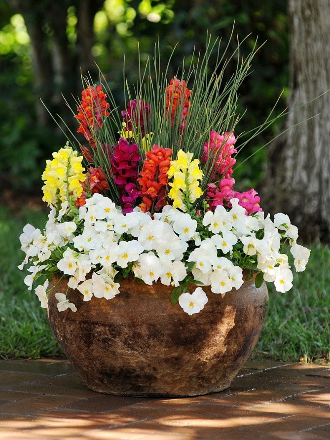 Партнер Виола F1 ампельная КУЛ ВЭЙВ УАЙТ ^(5шт в амп), изображение 4