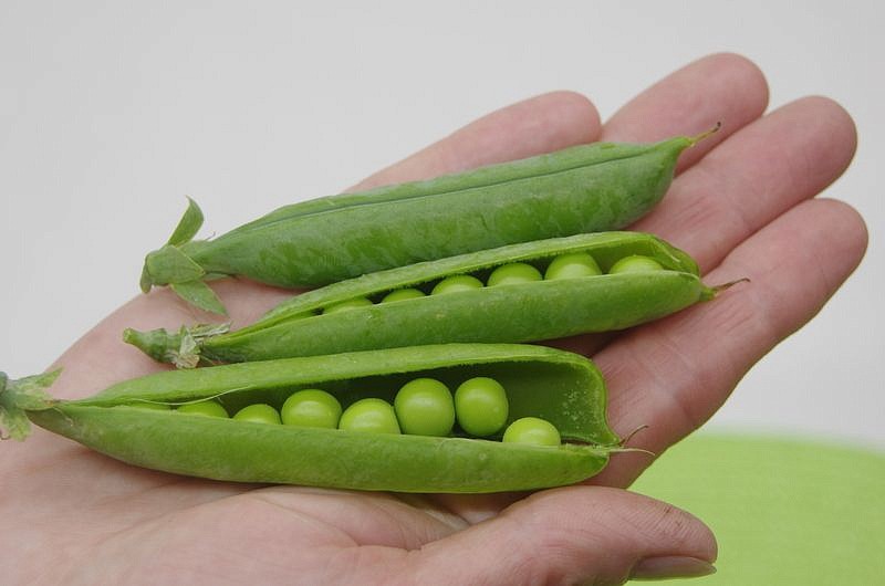 Партнер Горох овощной ПРЕМИУМ ^(25шт), изображение 2