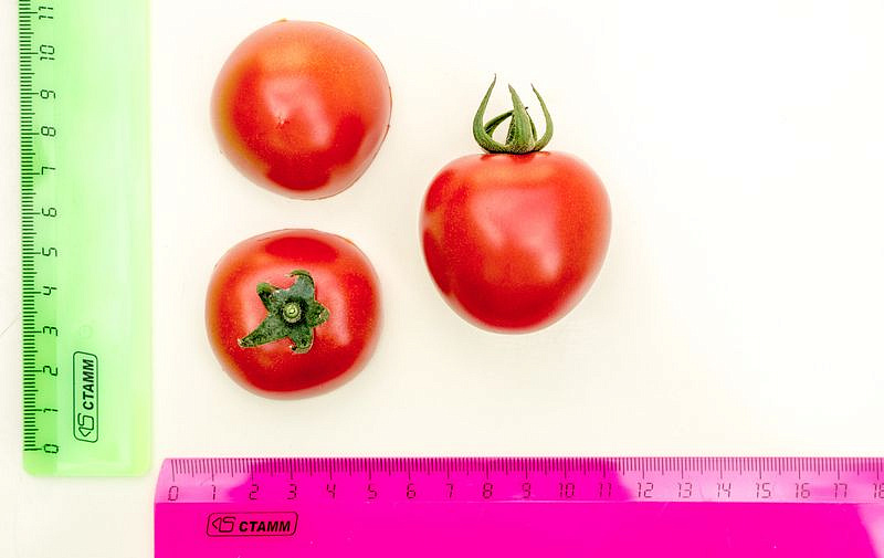 Партнер Томат ЧЕРРИ КОКТА F1 ^(5шт) 2-ной пак, изображение 2