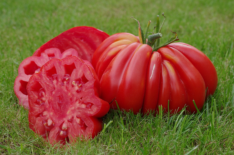 Партнер Томат НИНА ^(10шт) 2-ной пак, изображение 2