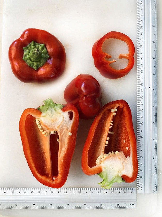 Партнер Перец РЕГОР F1 ^(5шт) 2-ной пак, изображение 3