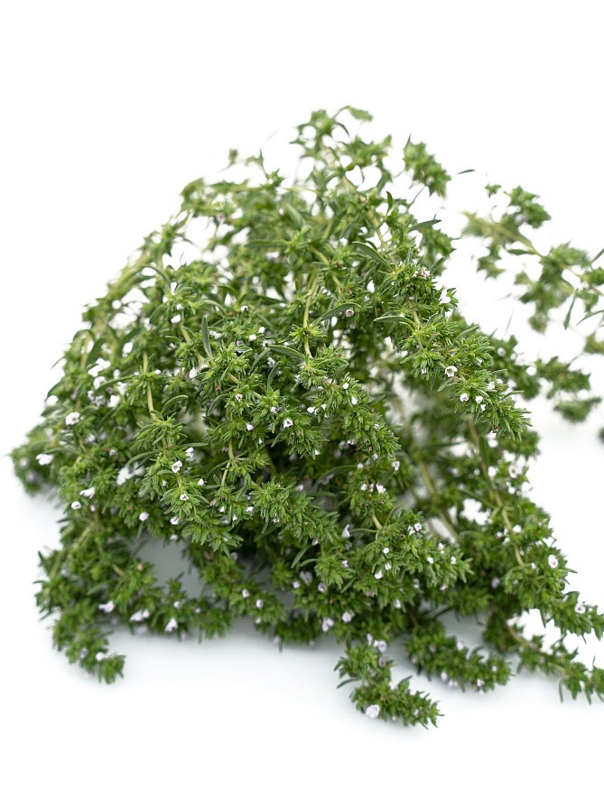 Партнер Чабер садовый АРОМАТНЫЙ ^(0,5г), изображение 1