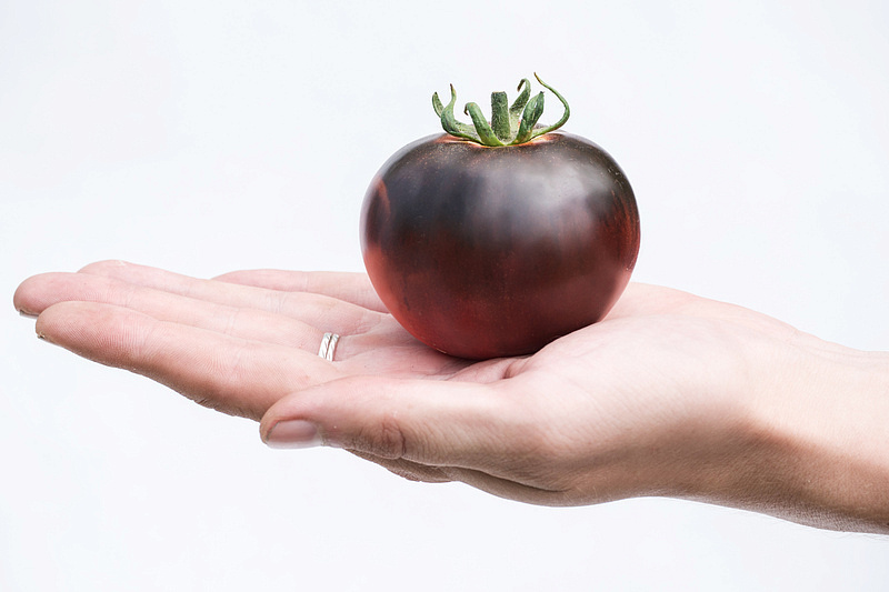 Партнер Томат ЧЕРНАЯ БОГИНЯ ^(10шт) 2-ной пак, изображение 1