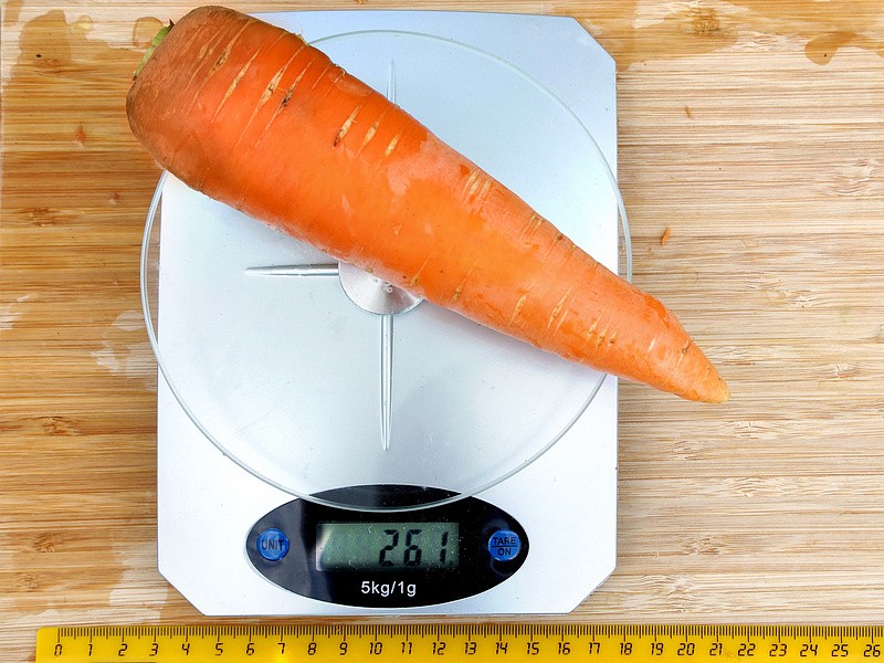 Партнер Морковь БОЛИВАР F1 ^(0,5г), изображение 4