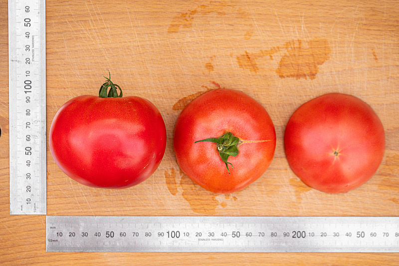 Партнер Томат ПИНК ИНТУИШН F1 ^(5шт) 2-ной пак, изображение 2