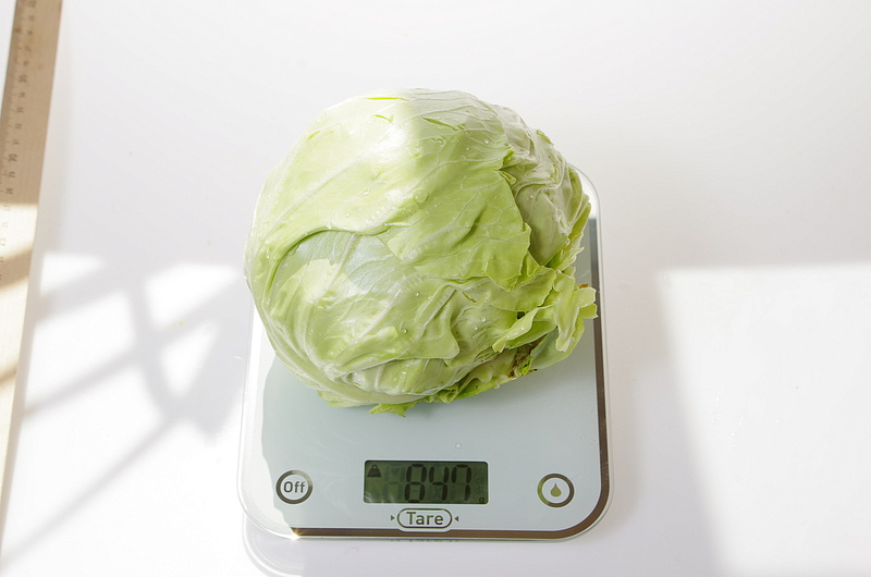 Партнер Капуста б/к НАСТЯ F1 ^(0,2г в амп), изображение 3