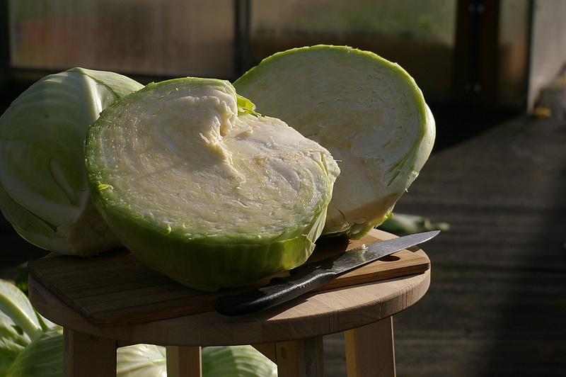 Партнер Капуста б/к ВАЛЕНТИНА F1 ^(0,2г в амп), изображение 6