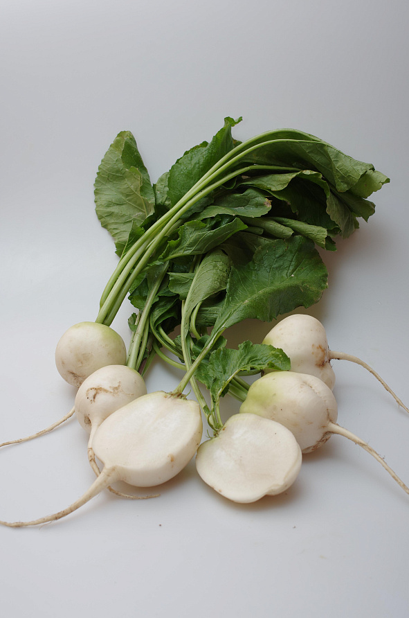 Партнер Дайкон САША ^(1г), изображение 5