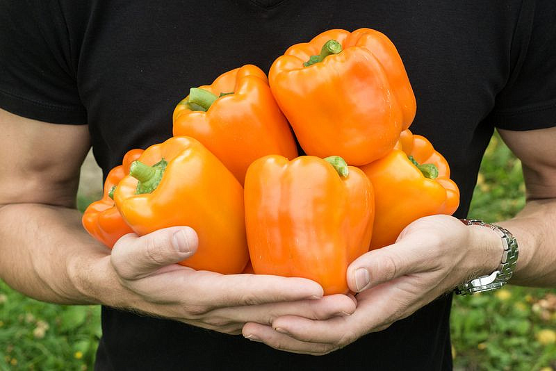 Партнер Перец АЛЛАР F1 ^(5шт) 2-ной пак, изображение 3