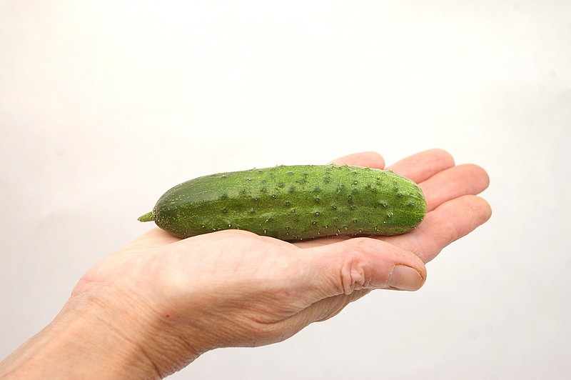 Партнер Огурец ЭКОЛЬ F1 ^(5шт), изображение 3