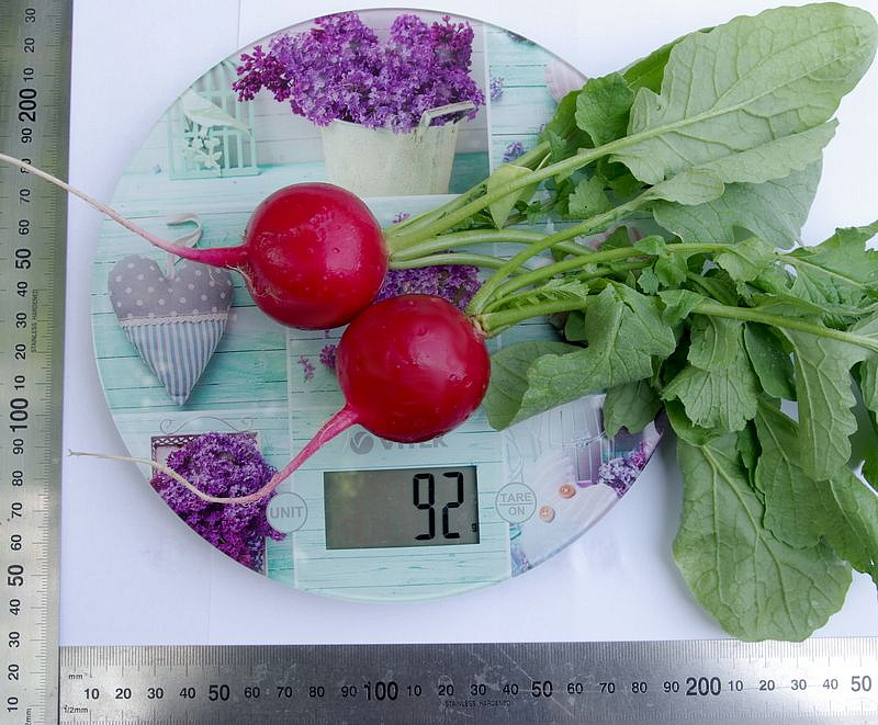 Партнер Редис ДУСЯ F1 ^(1г), изображение 1