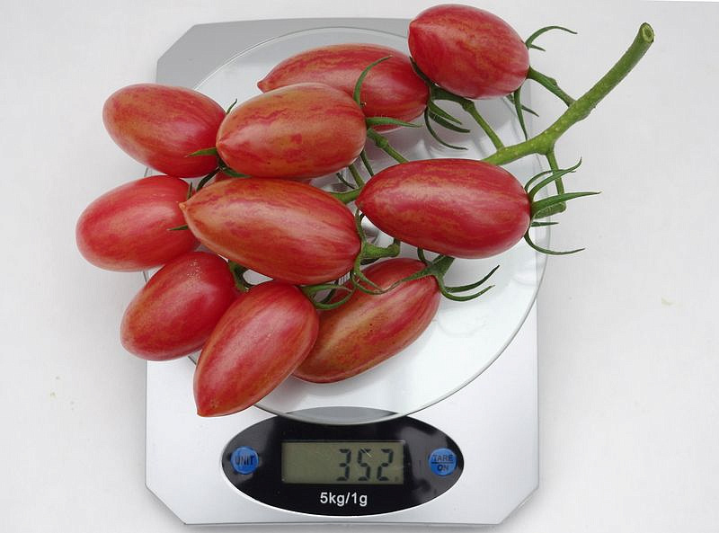 Партнер Томат РОЗОВЫЙ КОТЯ F1 ^(10шт) 2-ной пак, изображение 6